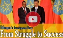 Ethiopia's Development Odyssey: From Struggle to Success | EP 0005 Infinity Insight Podcast