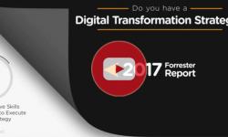 ¿Tiene una estrategia de transformación digital?